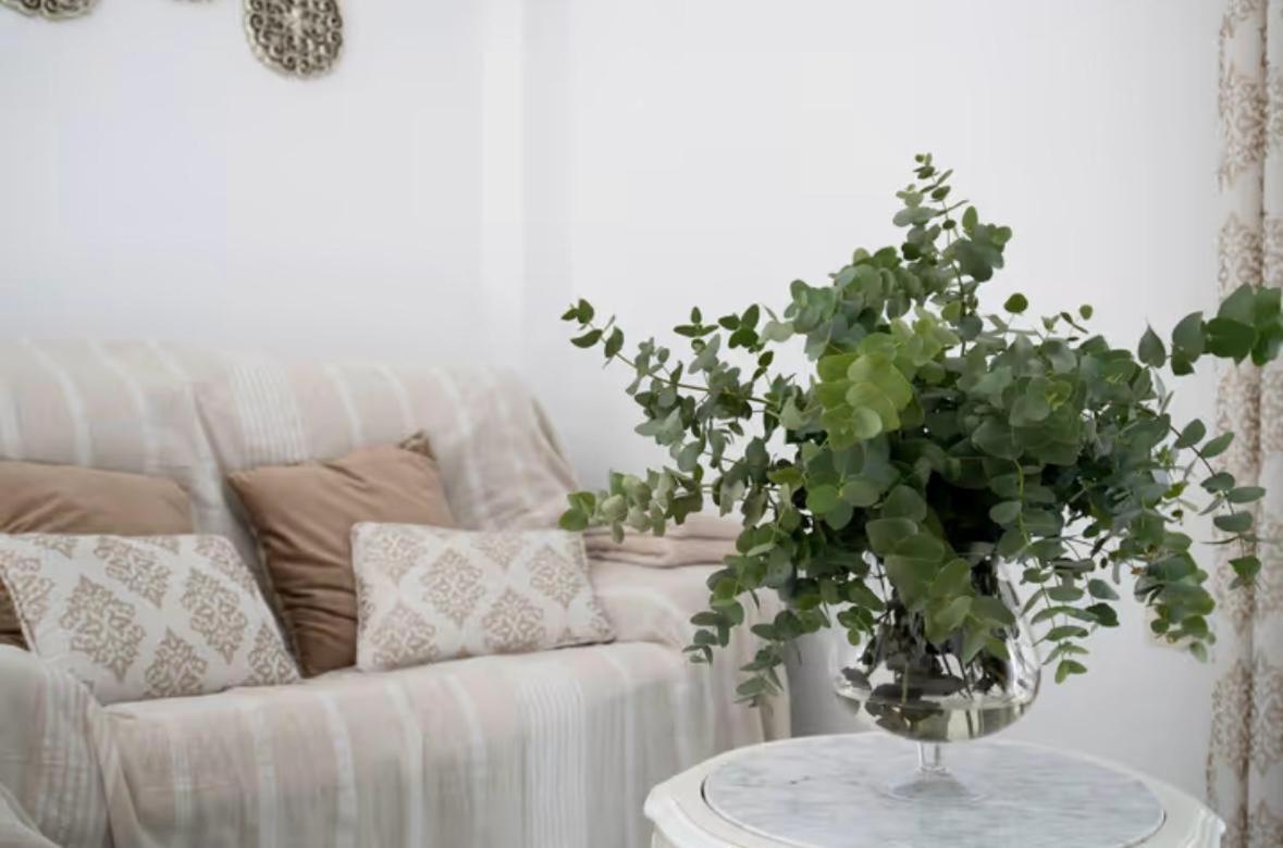 Apartamento Cataleya Ronda Extérieur photo